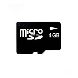 Carte mémoire MicroSDHC de 4 Go. Classe 4